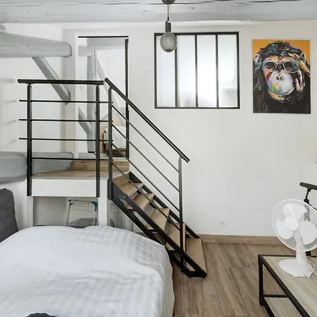 Duplex Rénové Parking Gratuit 9 Appartement