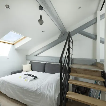 Duplex Rénové Parking Gratuit 9 Appartement