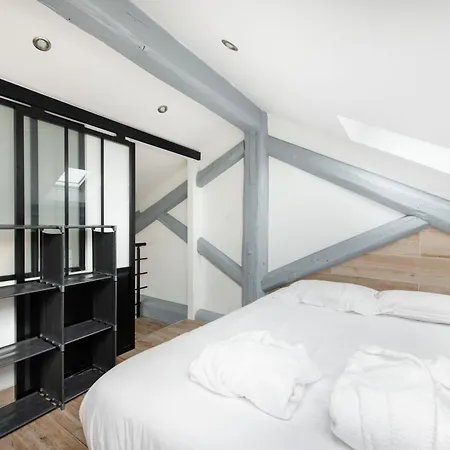 Duplex Renove Parking Gratuit 9 Apartment *