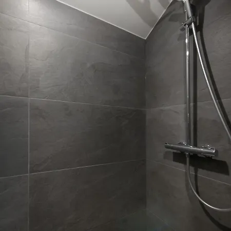 Duplex Renove Parking Gratuit 9 * Lyon