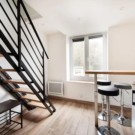 Duplex Renove Parking Gratuit 9 Daire Lyon