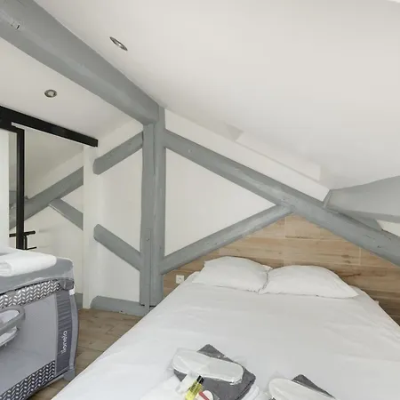 Duplex Renove Parking Gratuit 9 * Lyon